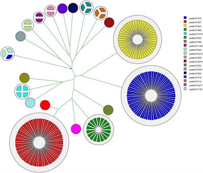 Whole Genome Multi-Locus Sequence Typing and Genomic Single Nucleotide Polymorphism Analysis for Epidemiological Typing of Pseudomonas aeruginosa From Indonesian Intensive Care Units